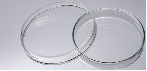 Petri dish, glass